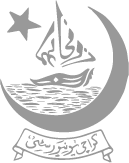 Pakistan National Shipping Corporation logo